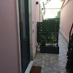 Trigona